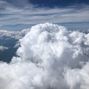 Meet your Posher, Curt